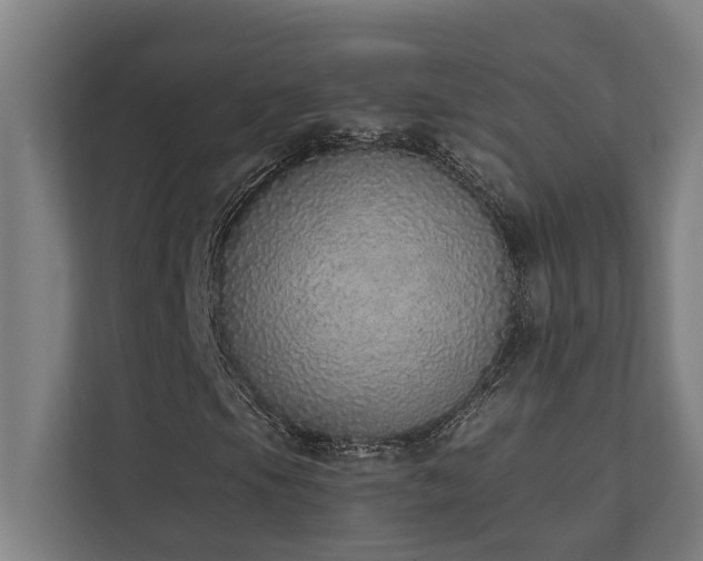 X0000110761105200906151300