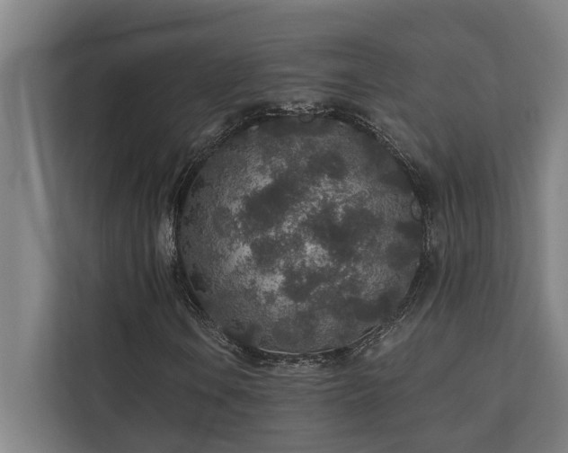 X0000110761106200906151300