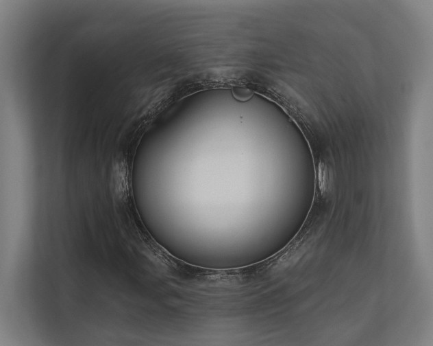 X0000110761107200906151300