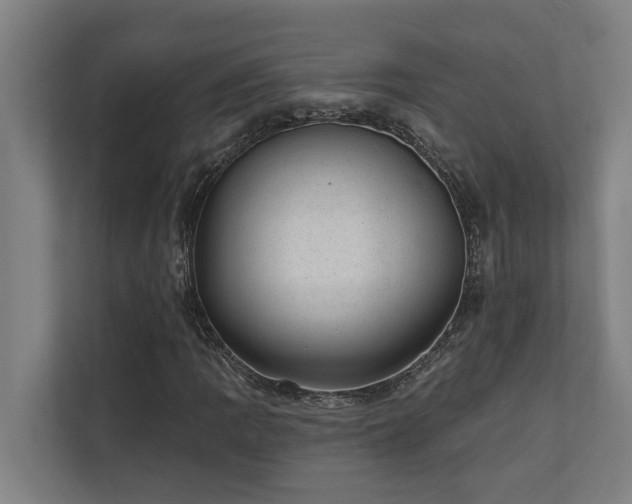 X0000110761109200906151300