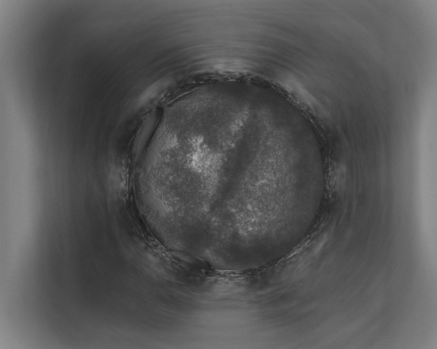 X0000110761110200906151300