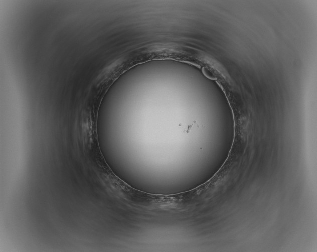 X0000110761111200906151300