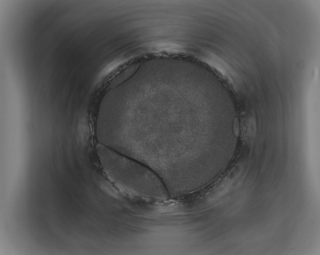 X0000110761112200906151300