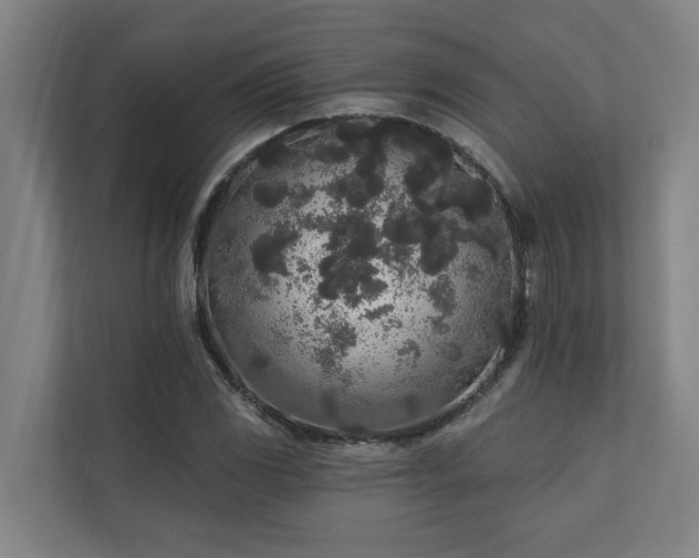 X0000110761117200906151300