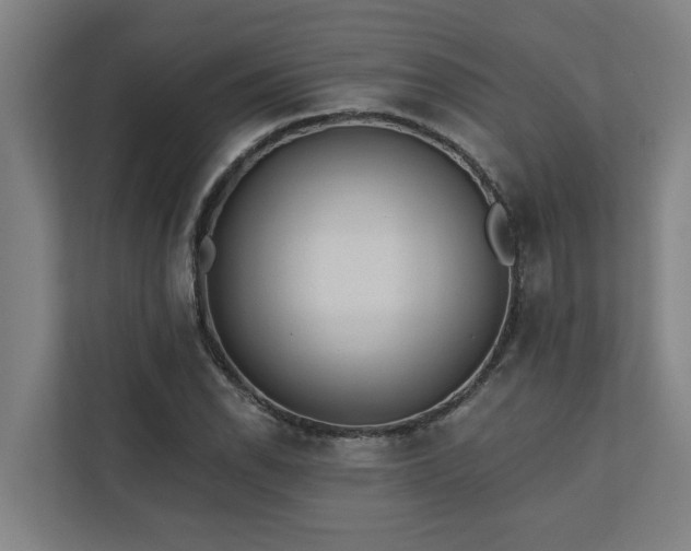 X0000110761118200906151300