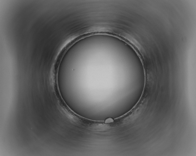 X0000110761119200906151300