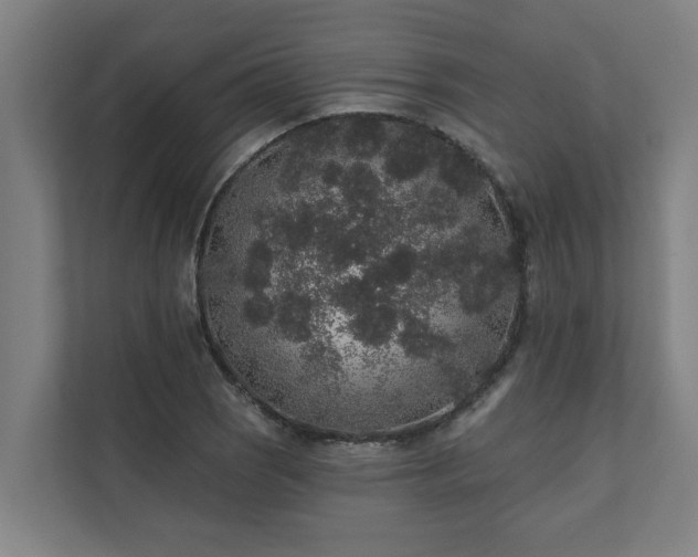 X0000110761121200906151300