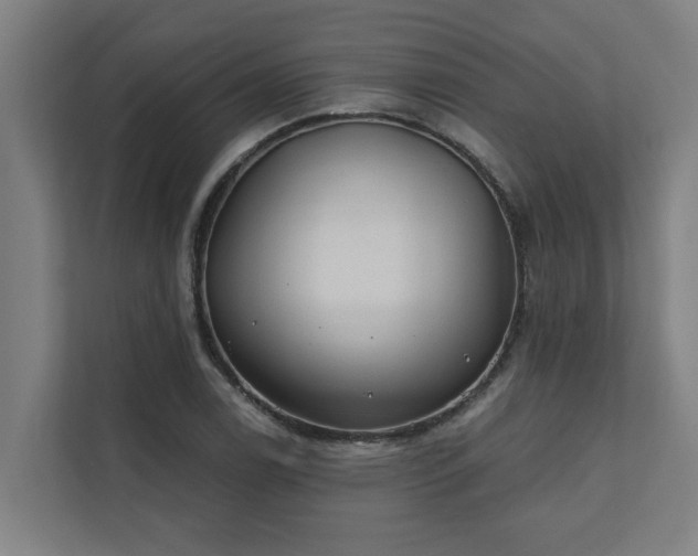 X0000110761122200906151300