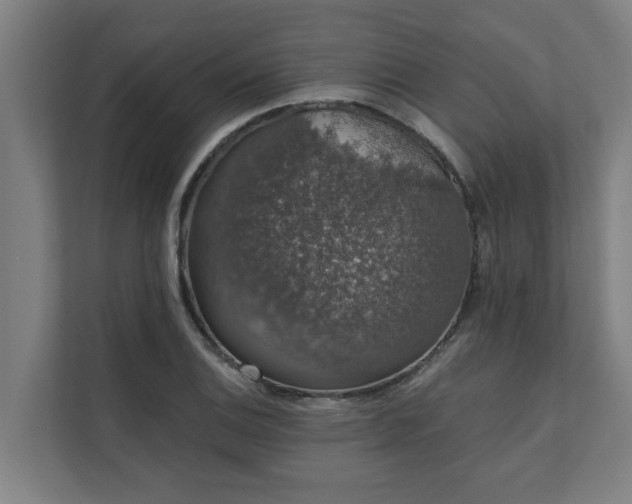 X0000110761124200906151300