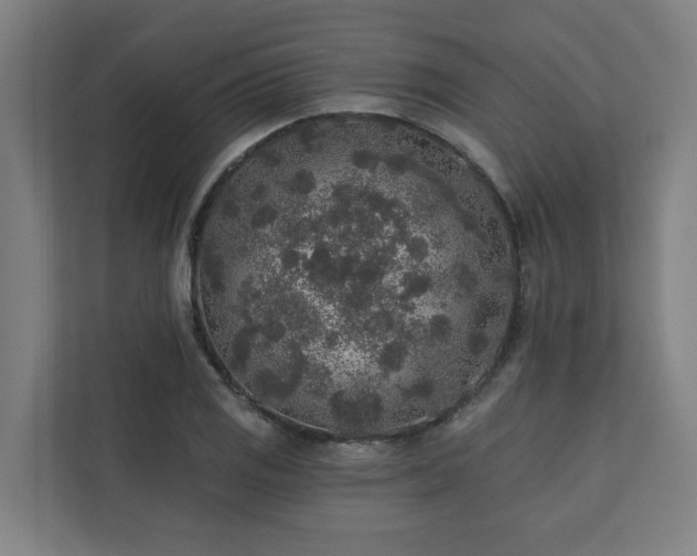 X0000110761125200906151300