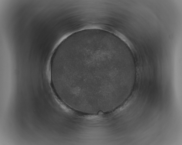 X0000110761127200906151300
