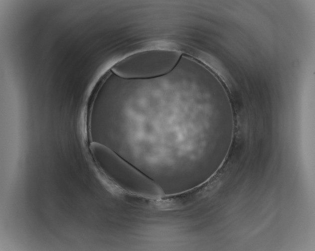 X0000110761128200906151300