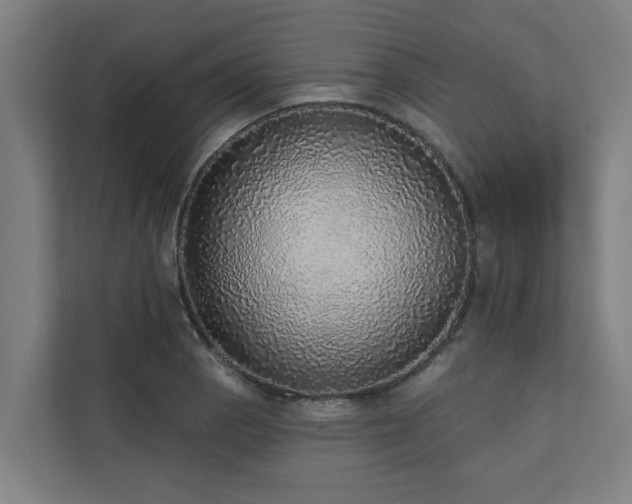 X0000110761129200906151300