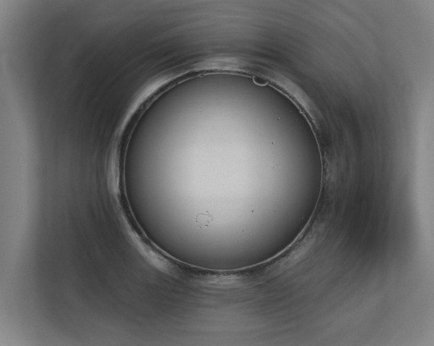 X0000110761131200906151300