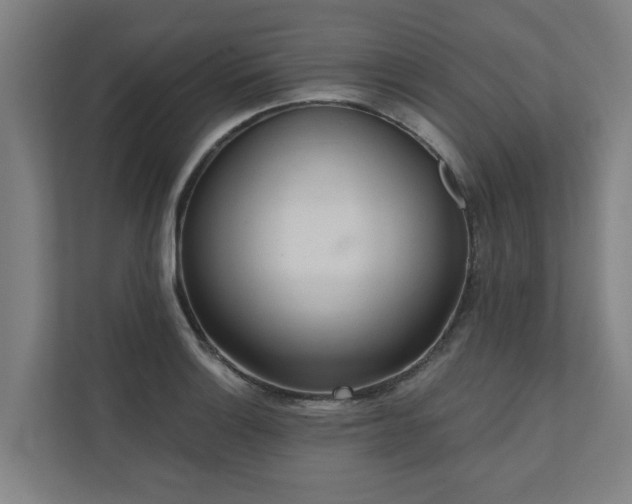 X0000110761132200906151300