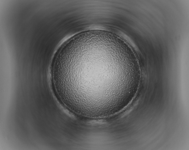 X0000110761133200906151300