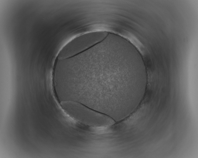 X0000110761134200906151300