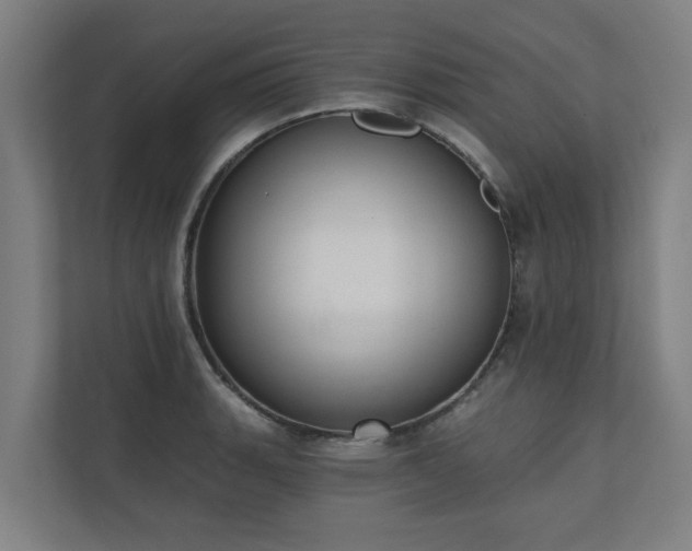 X0000110761135200906151300