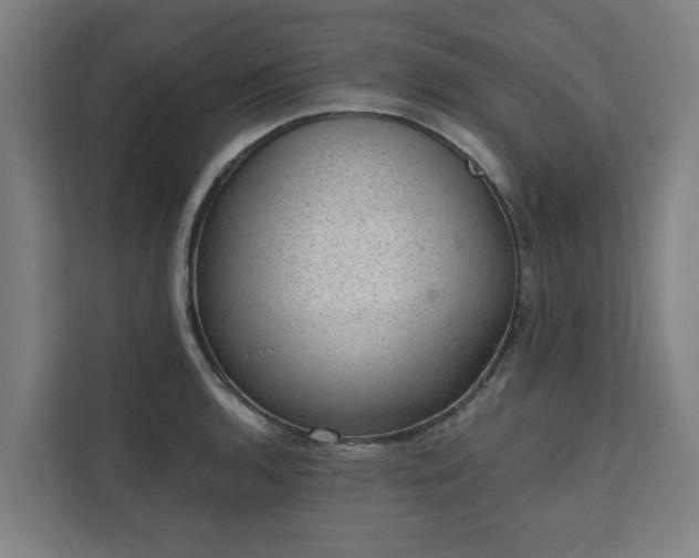 X0000110761136200906151300