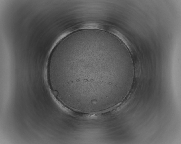 X0000110761139200906151300