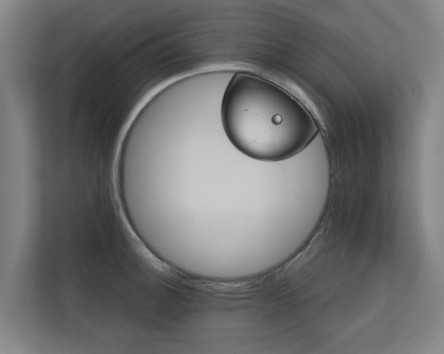 X0000110761140200906151300