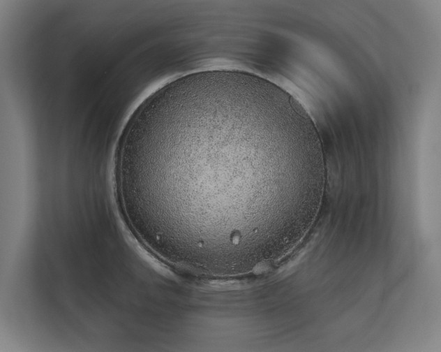 X0000110761142200906151300