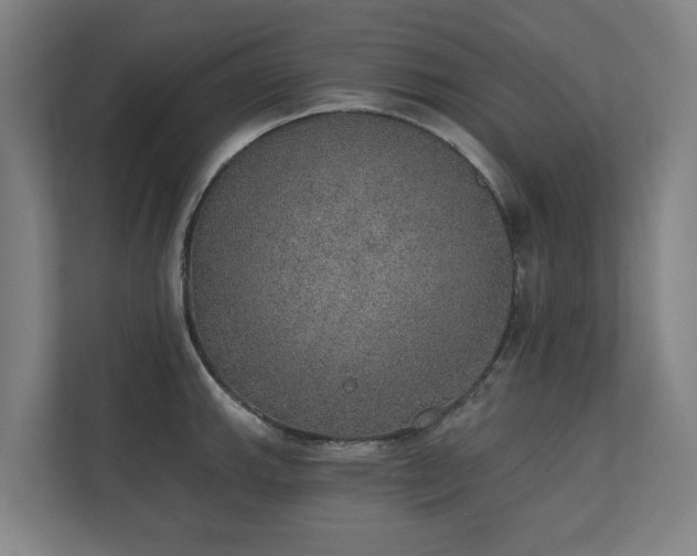 X0000110761143200906151300