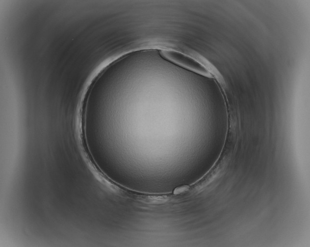 X0000110761144200906151300