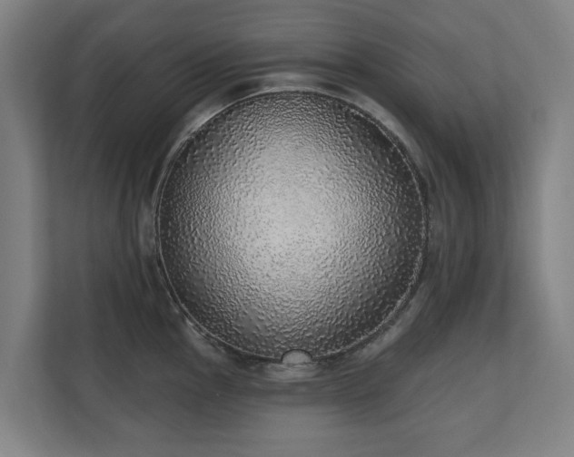 X0000110761145200906151300