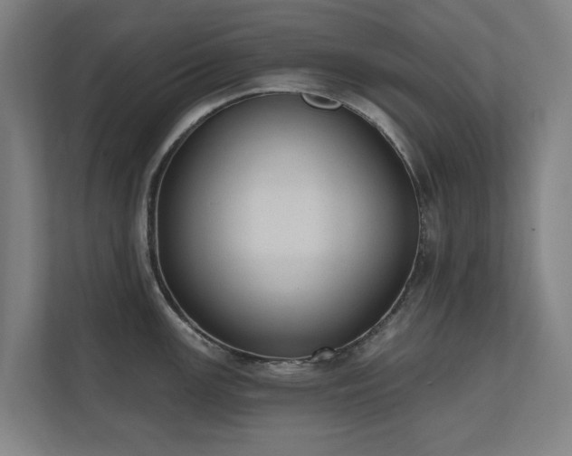 X0000110761147200906151300