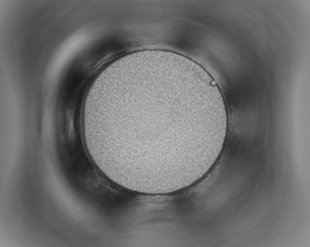 X0000110761150200906151301
