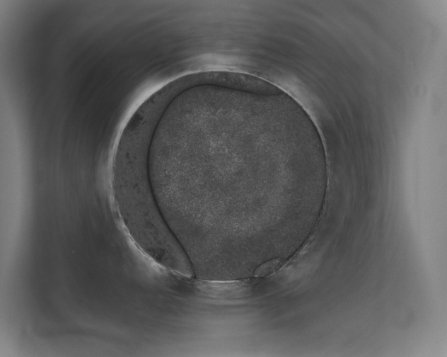 X0000110761152200906151301