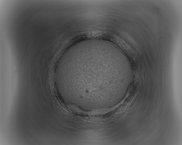 X0000110761153200906151300