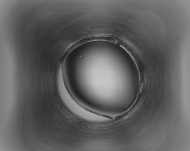 X0000110761161200906151300