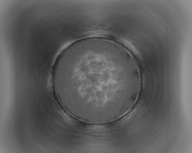 X0000110761164200906151300