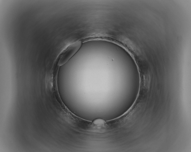 X0000110761165200906151300
