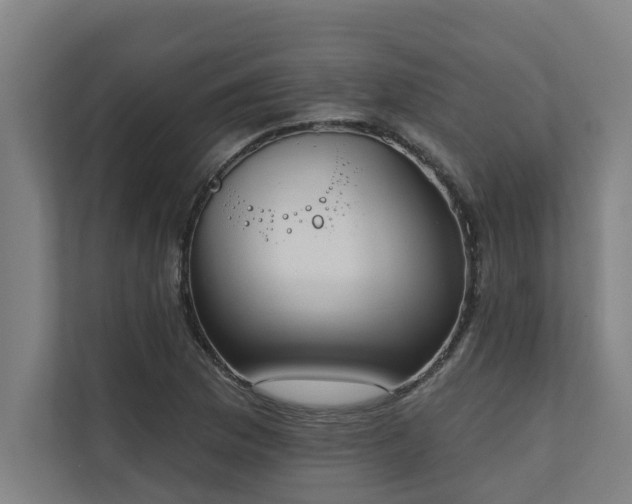 X0000110761169200906151300