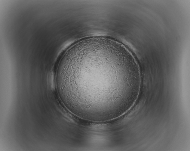 X0000110761171200906151300