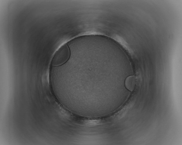 X0000110761173200906151300