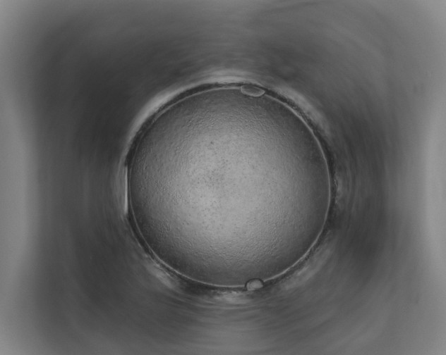 X0000110761175200906151300