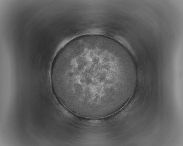 X0000110761176200906151300