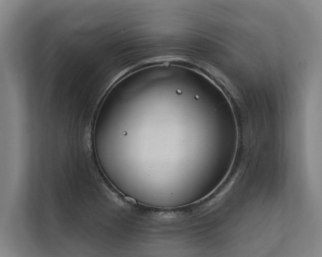 X0000110761177200906151300