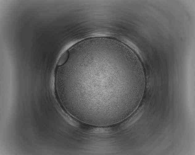 X0000110761179200906151300