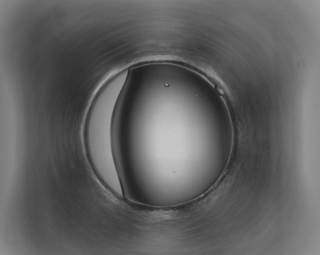 X0000110761181200906151300