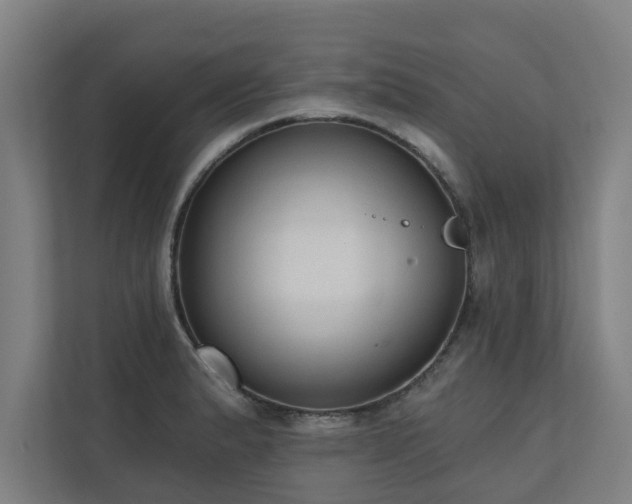 X0000110761183200906151300