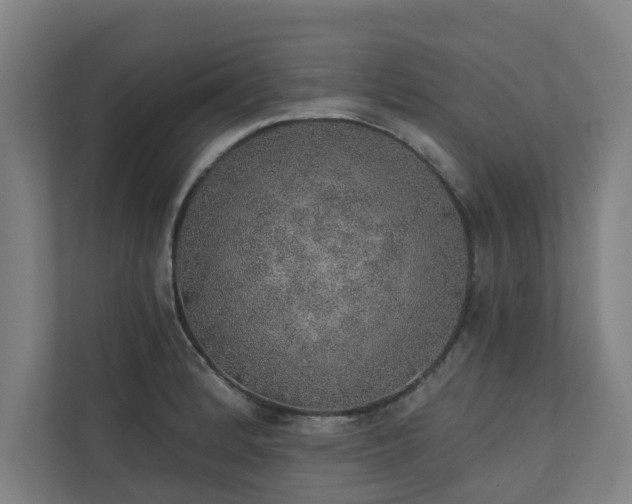 X0000110761184200906151259