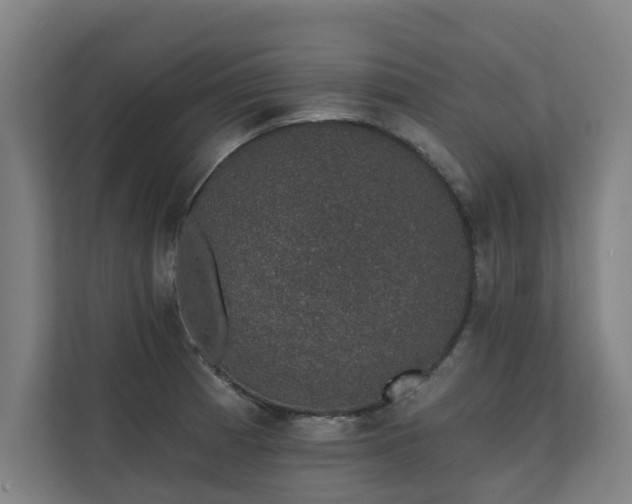 X0000110761185200906151259
