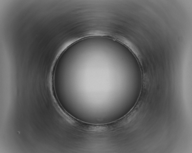 X0000110761187200906151259