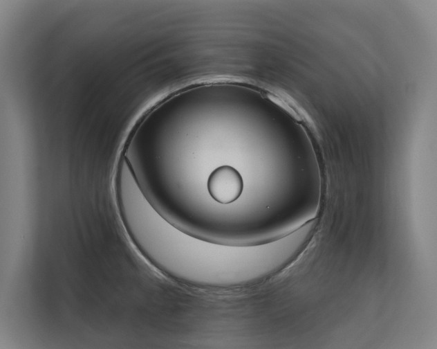 X0000110761189200906151259