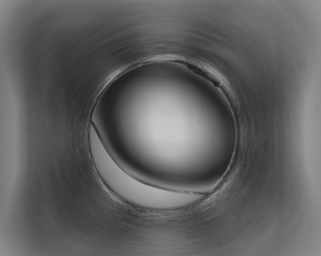 X0000110761193200906151259